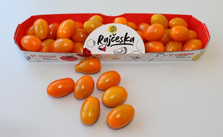 Cherry rajčata oranžová