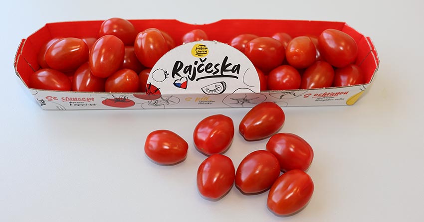 Cherry rajčata oválná